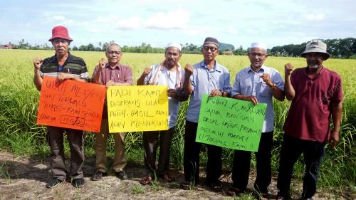 PESAWAH BANTAH KENAIKAN UPAH MENUAI
