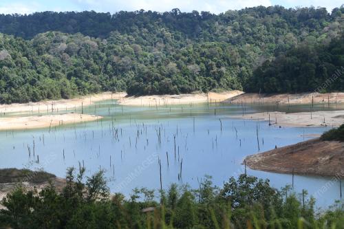 TASIK PEDU