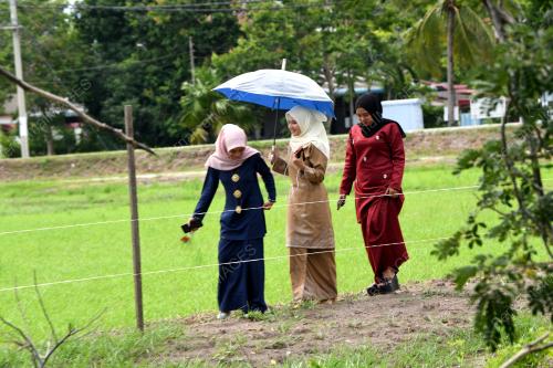 HARI RAYA AIDILFITRI DI KEDAH