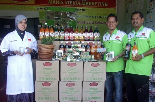 KD05_24112013_STEVIA