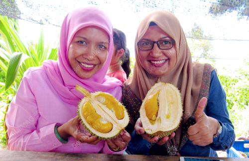 KD05_28062016_DURIAN_HITAM