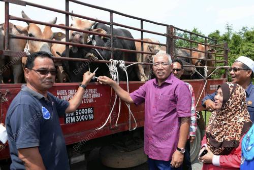 KD05_29082017_LEMBU