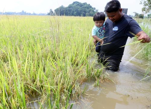 BANJIR DI ALOR SETAR