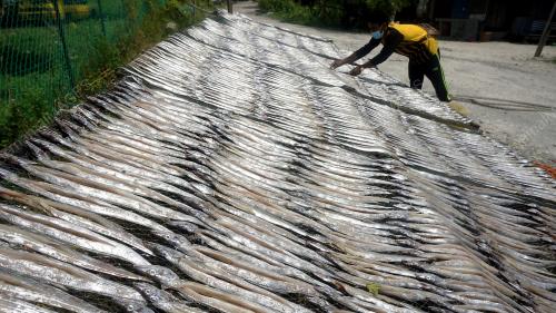 PERUSAHAAN IKAN TIMAH KERING