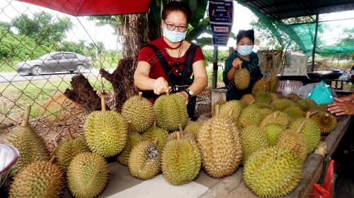 DURIAN PKPB