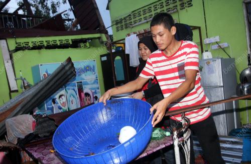 KD05_31102014_RIBUT