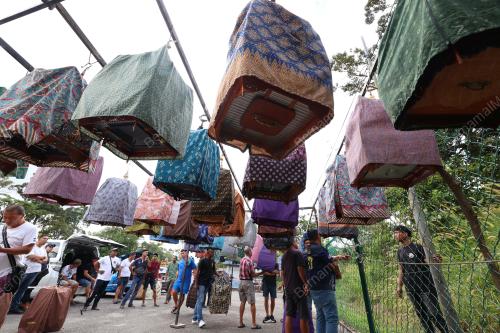PERTANDINGAN SUARA BURUNG