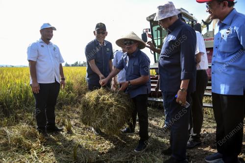 DATUK SERI MOHAMAD SABU