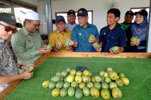 HARUM MANIS KEDAH