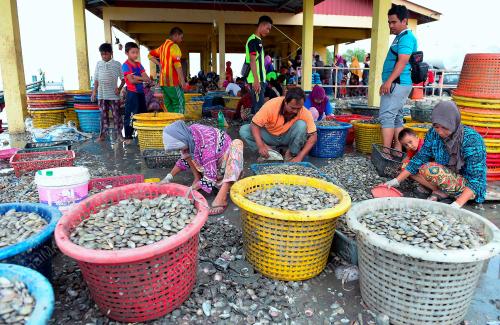 KD06_04042017_KERANG