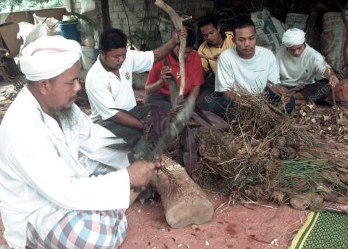KD06_05022016_POTONG_AKAR