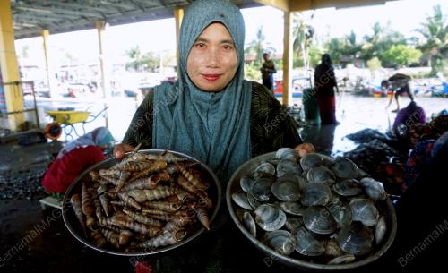 PELANTAR SIPUT