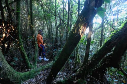 GUNUNG BINTANG