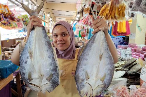 TANJUNG DAWAI JADI TUMPUAN