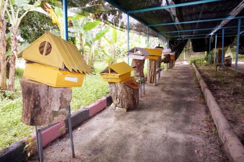 KD06_09102017_KELULUT