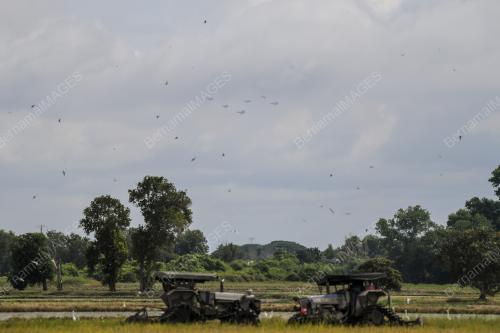 LATIHAN LIMA 2025