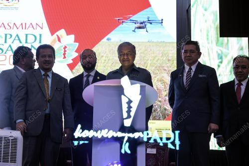 KD06_10092019_PADI_BN201909060272