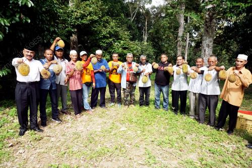 KD06_13082018_PESARA