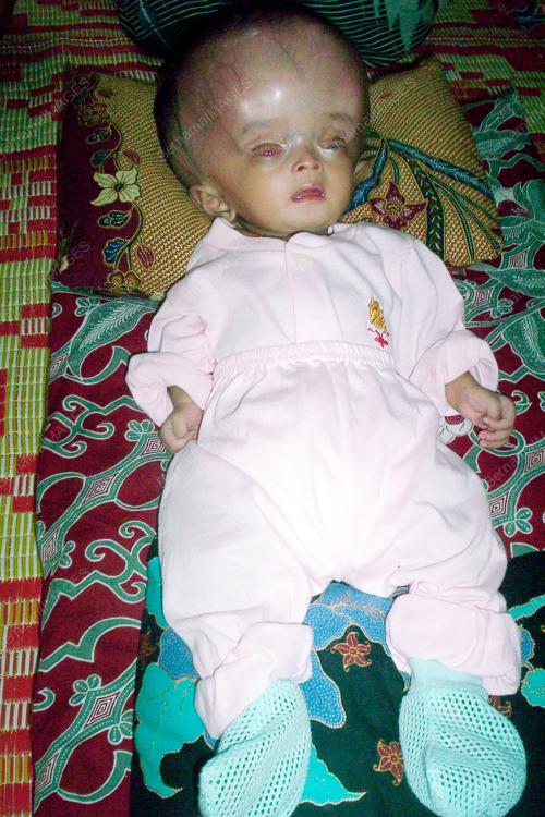 NOR AQILA DAUD