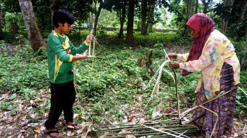 POKOK TEPUS BERKHASIAT