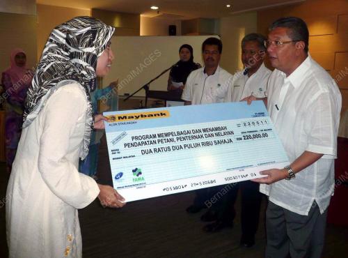 DATUK BADRUDDIN AMIRULDIN