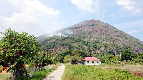 KD06_24022016_TERBAKAR