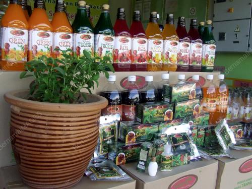 KD06_24112013_STEVIA