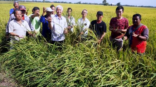 PESAWAH RUGI PADI DISERANG PENYAKIT