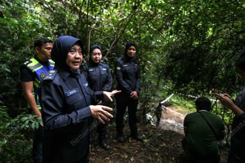 DATUK SURINA SAAD