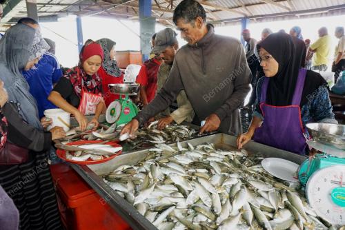 KD07_05072017_IKAN