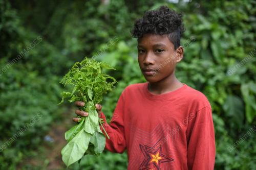 ORANG ASLI SUKU KENSUI