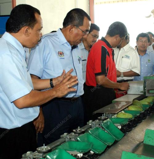 MOHD JOHARI BAHARUM
