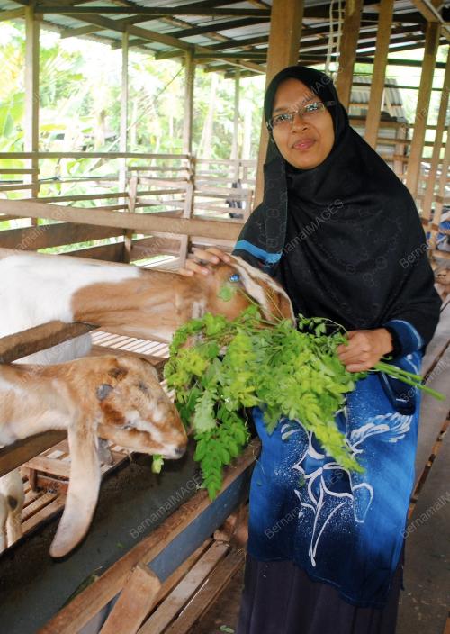 KD07_09062014_USAHAWAN
