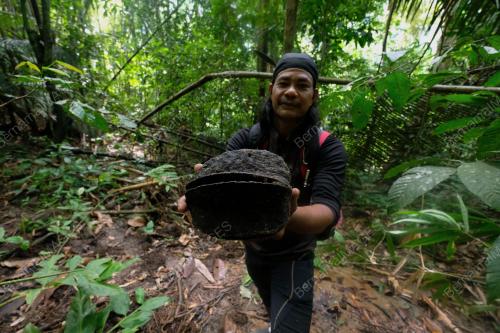 HUTAN LIPUR LATA LEMBU