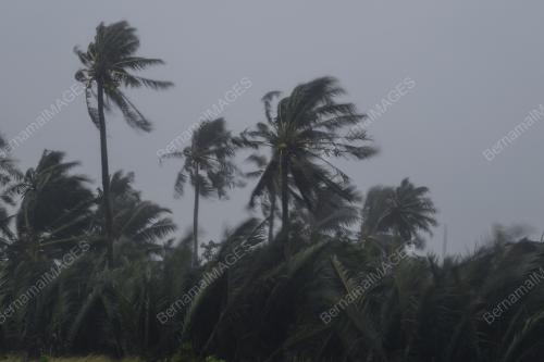 KD07_10082019_TAUFAN