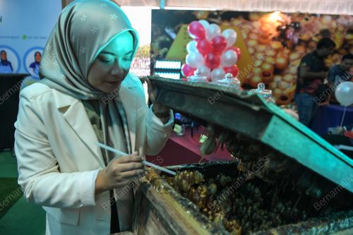 KARNIVAL USAHAWAN DESA