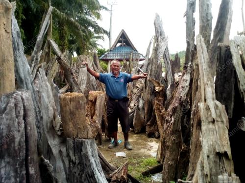 KD07_17012018_KAYU_TERAS