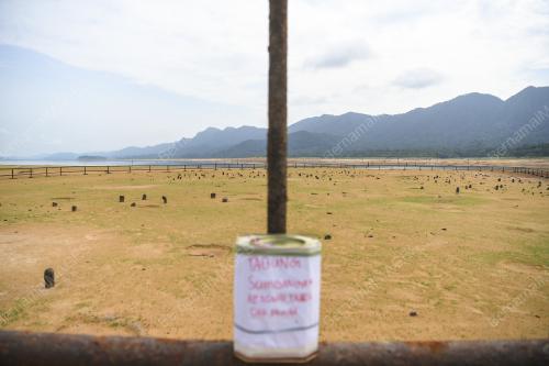 KUBUR LAMA MONG GAJAH