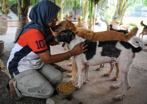 KD07_18092015_ANJING