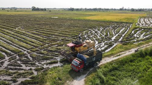 PESAWAH PADI