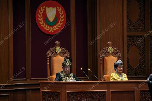 SULTAN SALLEHUDDIN IBNI ALMARHUM SULTAN BADLISHA