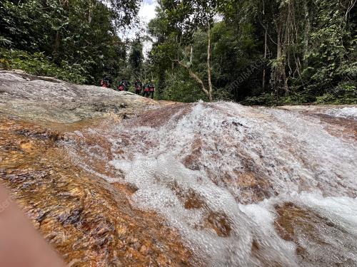 SAMBUTAN HARI HUTAN ANTARABANGSA 2024
