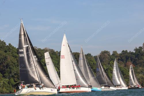 REGATTA ANTARABANGSA DIRAJA LANGKAWI