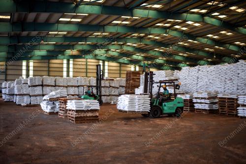 MALAYSIAN NPK FERTILIZER SDN BHD