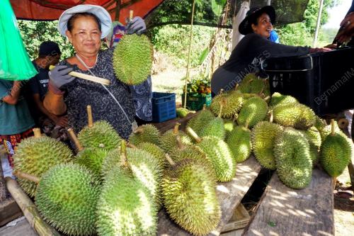 KD07_30062019_DURIAN