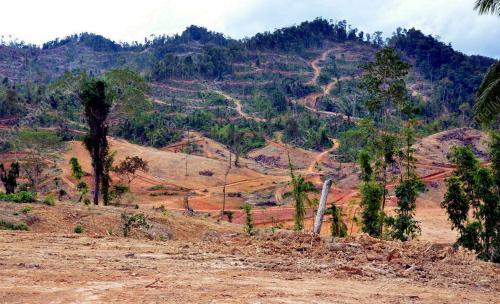 KD07_30122012_BALAK_LADANG