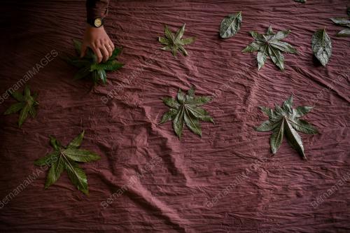 BATIK ECOPRINT