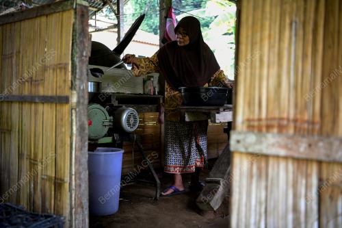 PENGUSAHA KOPI KAMPUNG
