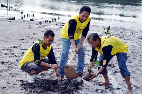 POKOK BAKAU