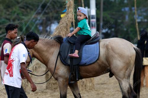 PESTA JERAMI